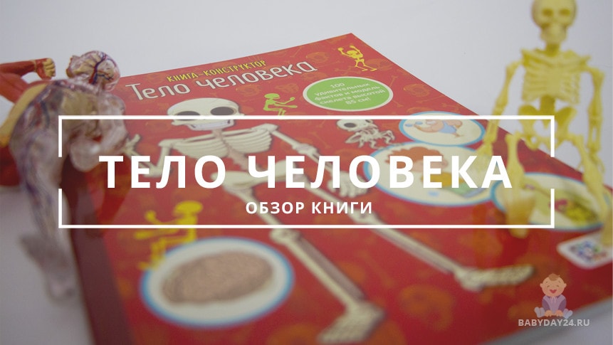 Книга-конструктор "Тело Человека"